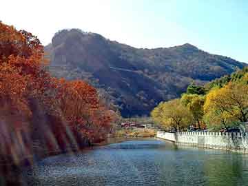 新澳天天开奖资料大全旅游团，氨水